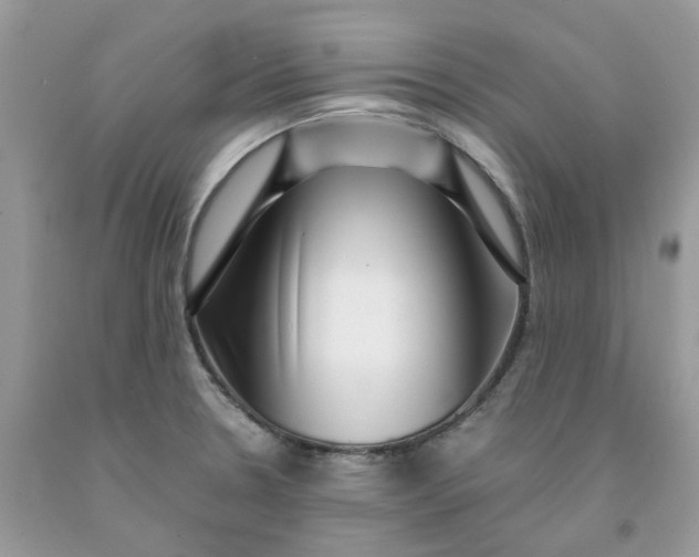 X0000091451330200709061726