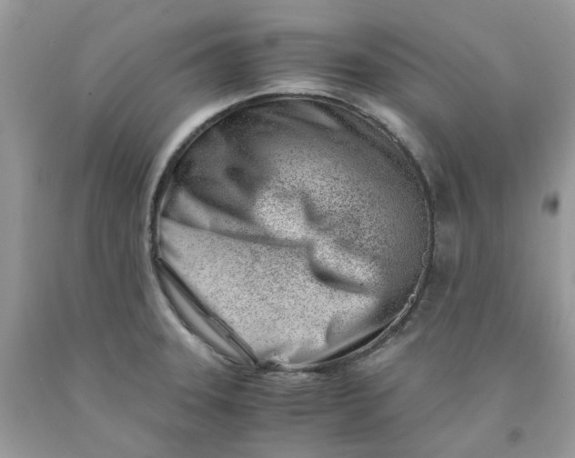 X0000091451331200709061726