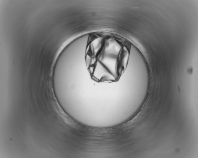 X0000091451332200709061726