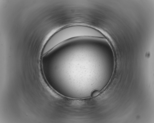 X0000091451333200709061726