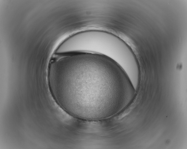 X0000091451334200709061726