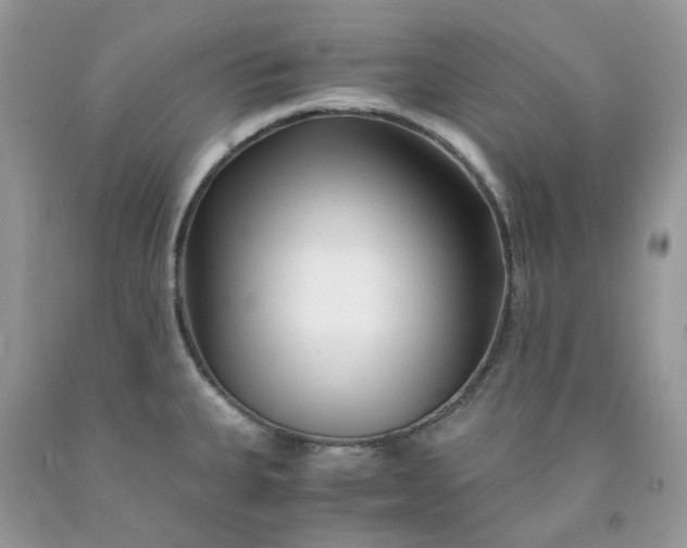 X0000091451335200709061726