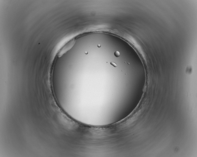 X0000091451336200709061726