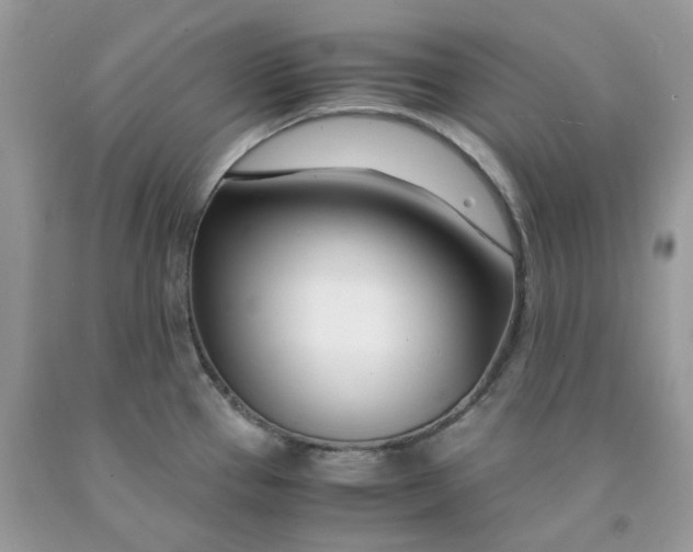 X0000091451337200709061727