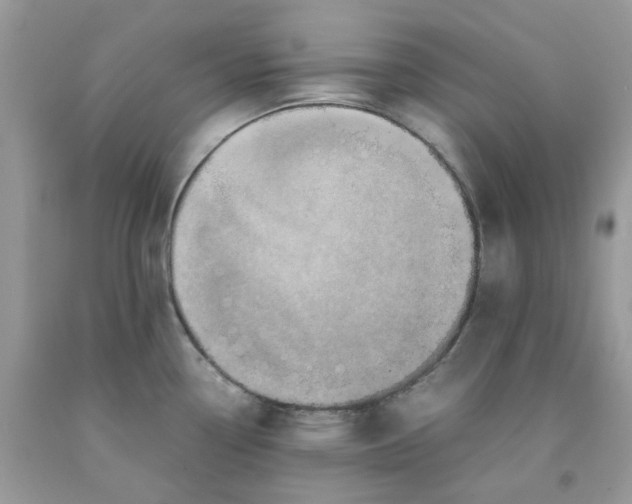 X0000091451338200709061727