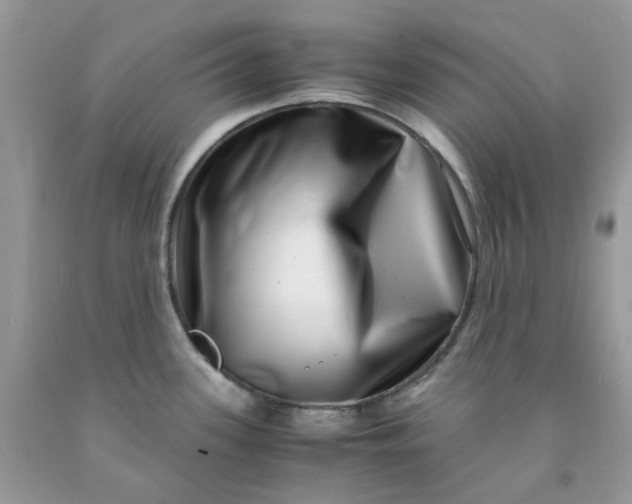 X0000091451339200709061727