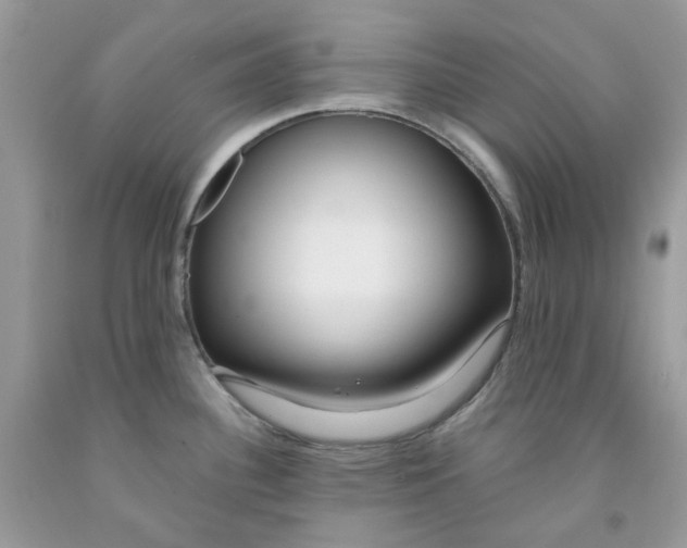 X0000091451340200709061727