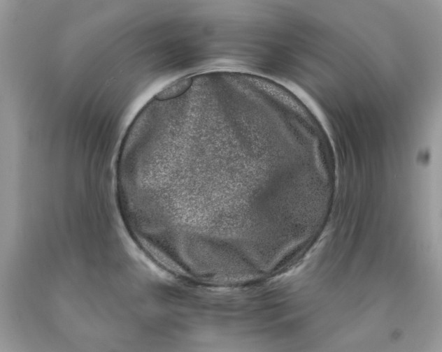 X0000091451341200709061727