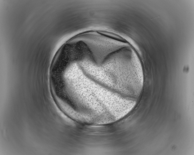 X0000091451343200709061727