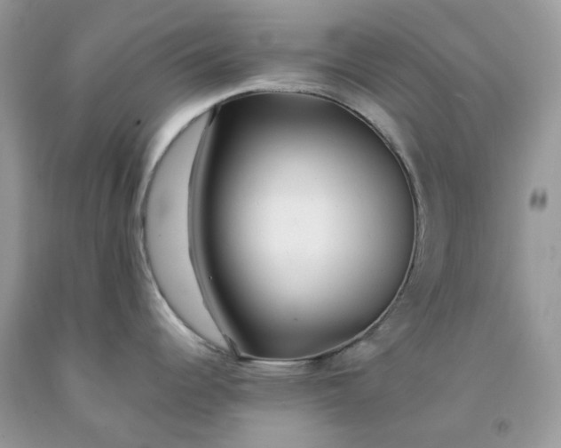 X0000091451344200709061727