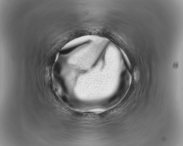 X0000091451347200709061726