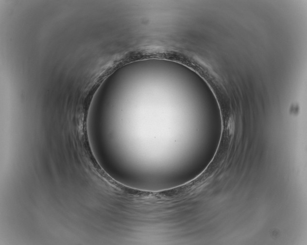 X0000091451348200709061726