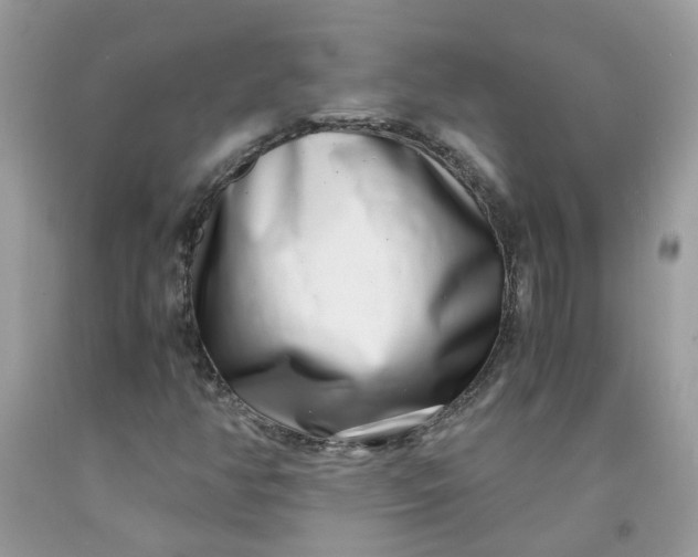 X0000091451350200709061726