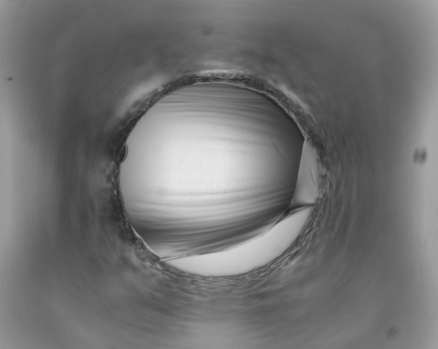 X0000091451351200709061726