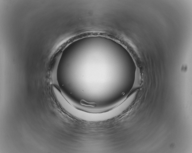 X0000091451352200709061726