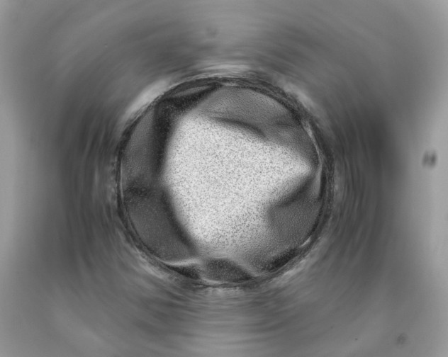 X0000091451354200709061726