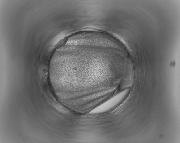 X0000091451355200709061726