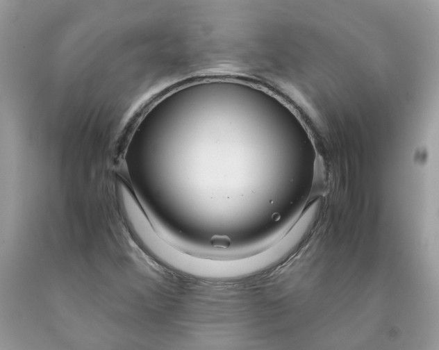 X0000091451356200709061726