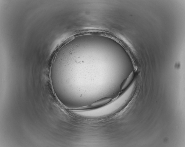 X0000091451357200709061726