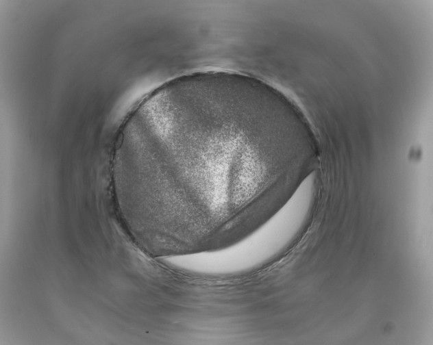 X0000091451359200709061726