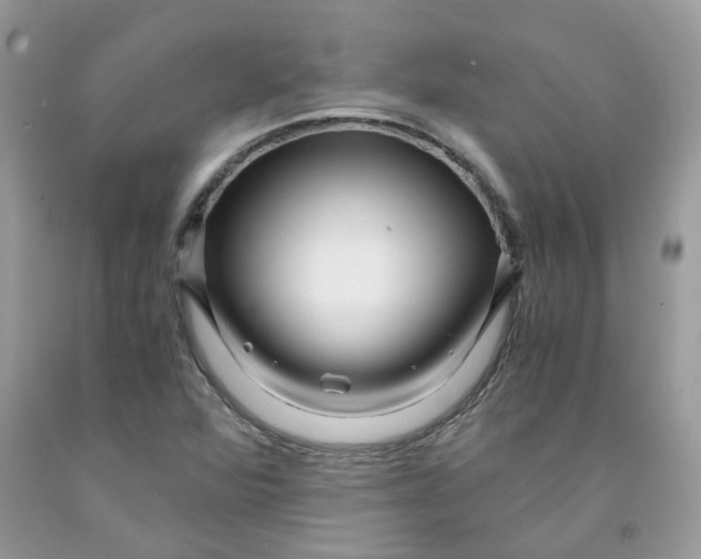 X0000091451360200709061726