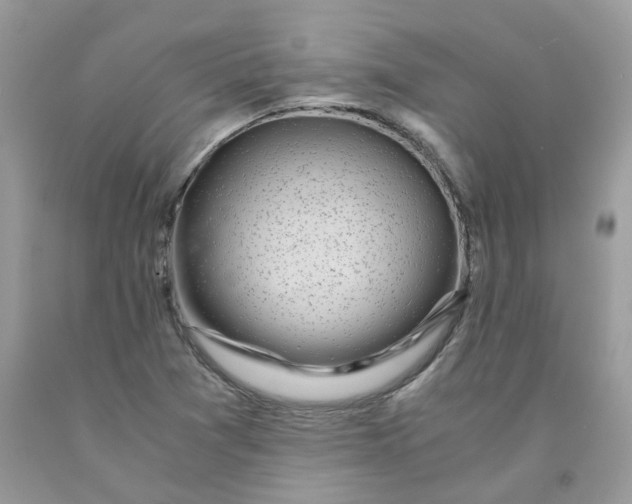 X0000091451361200709061726