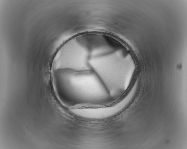 X0000091451363200709061726