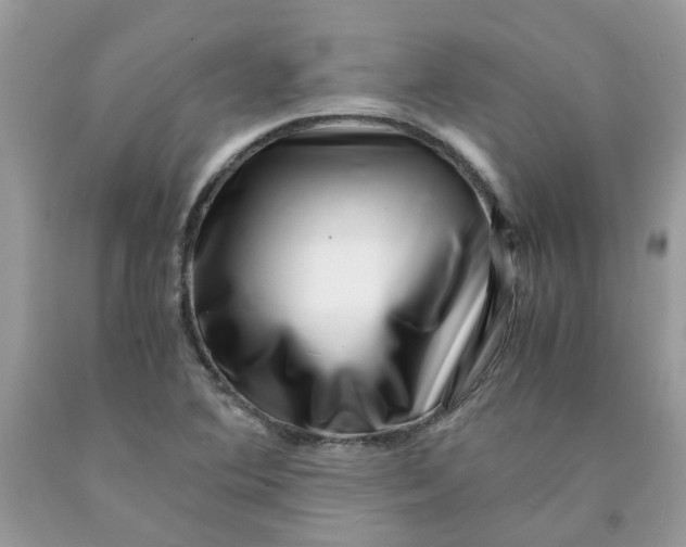 X0000091451364200709061726