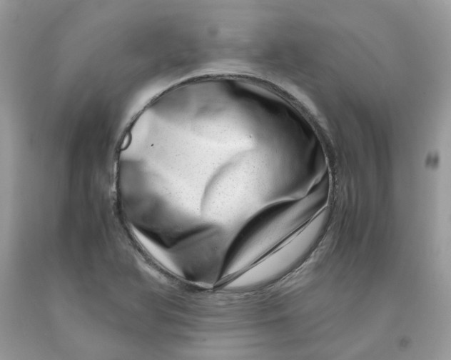 X0000091451366200709061726