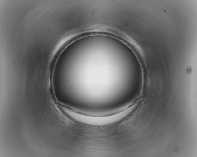 X0000091451368200709061726