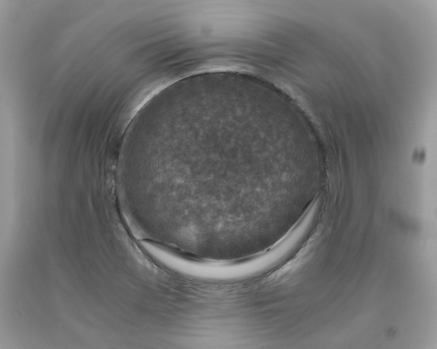 X0000091451369200709061726