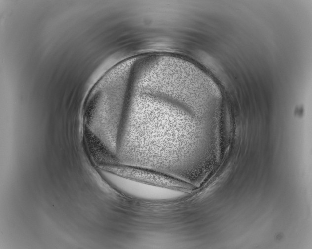 X0000091451370200709061726