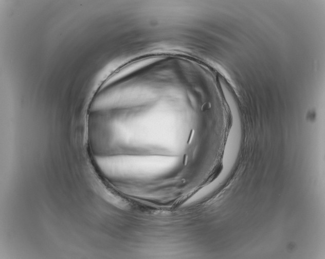 X0000091451371200709061726