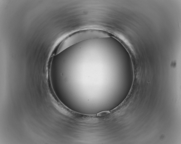 X0000091451372200709061725