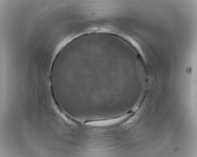 X0000091451373200709061725