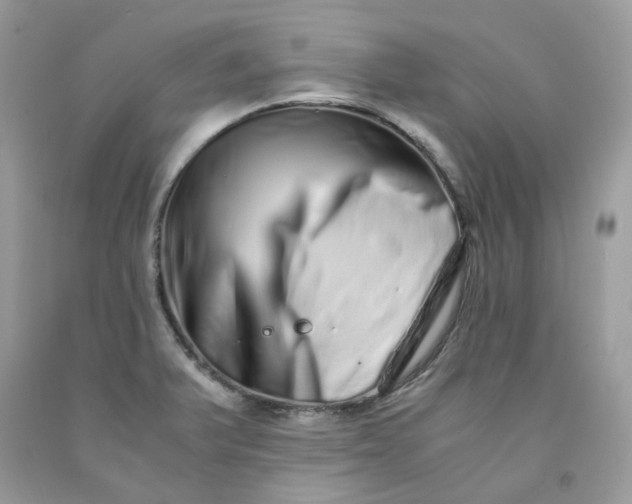 X0000091451375200709061725