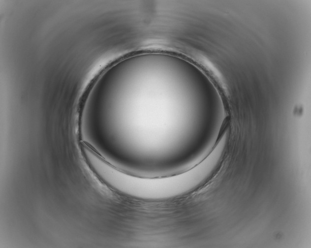 X0000091451376200709061725