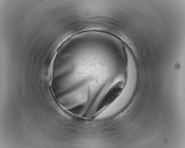 X0000091451377200709061725