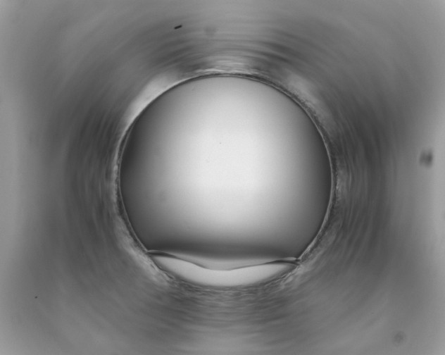 X0000091451378200709061725