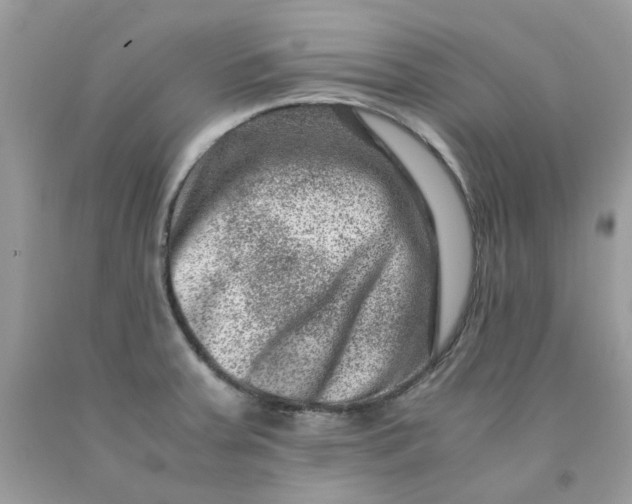 X0000091451379200709061725