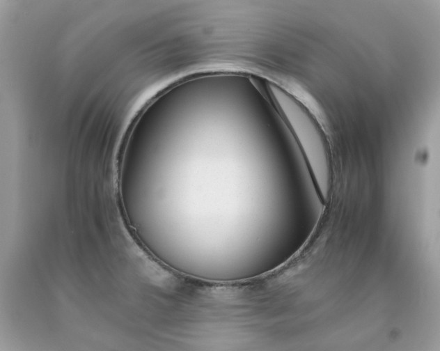 X0000091451380200709061725