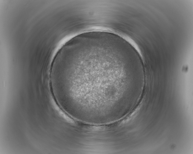 X0000091451381200709061725