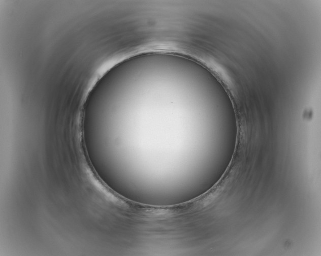 X0000091451382200709061725