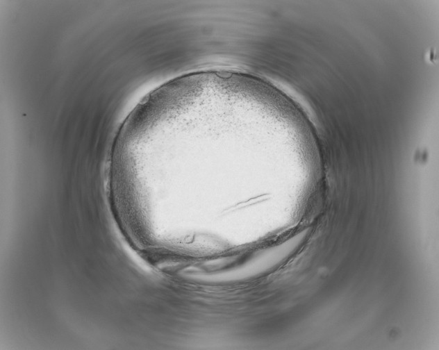 X0000091451383200709061725