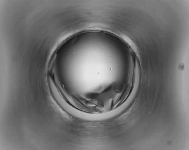 X0000091451384200709061725