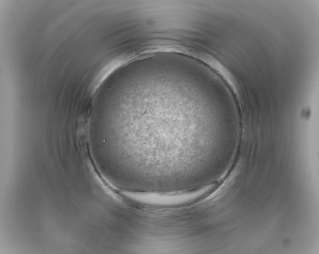 X0000091451385200709061725