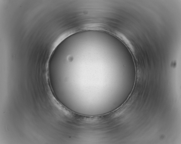 X0000091451386200709061725