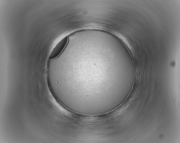 X0000091451387200709061725