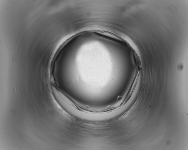 X0000091451388200709061725