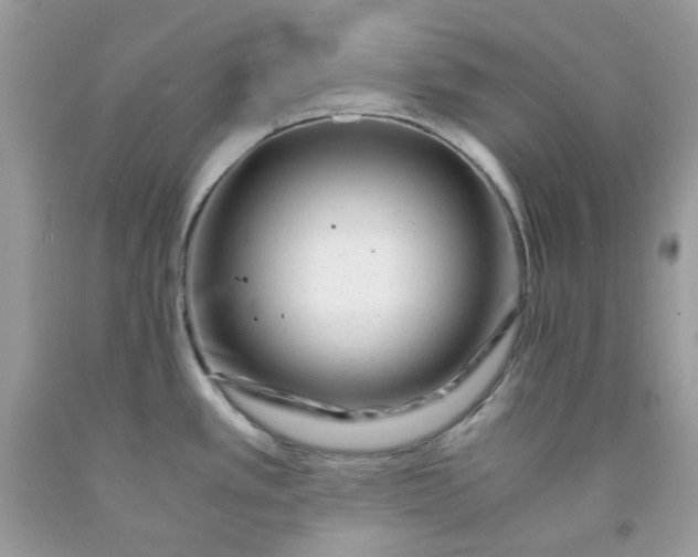 X0000091451389200709061725